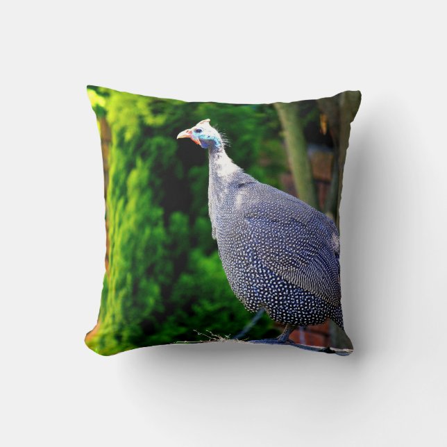 Blue Helmeted Guinea Fowl standing in the sun Throw Pillow (Front)