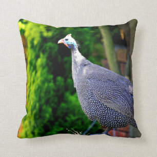 Blue Helmeted Guinea Fowl standing in the sun Throw Pillow