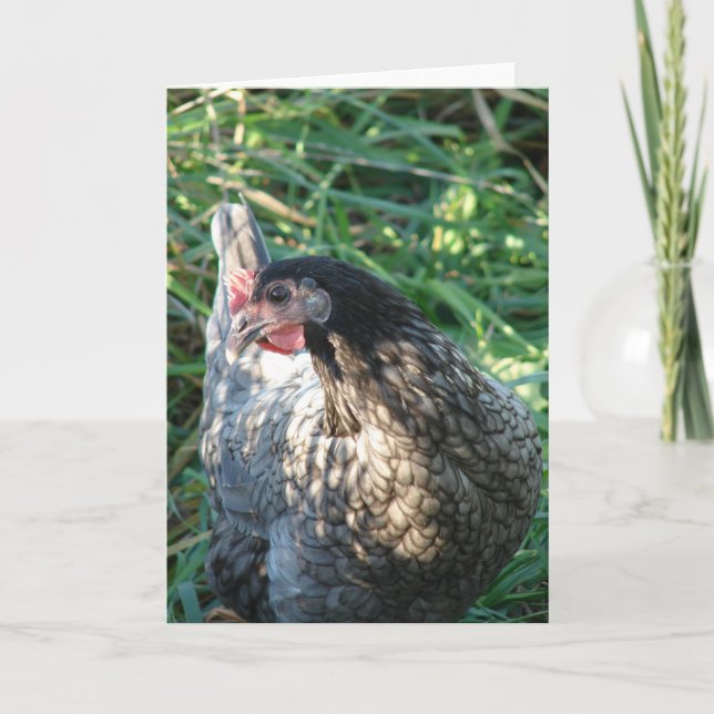 Blue Hen Card (Front)