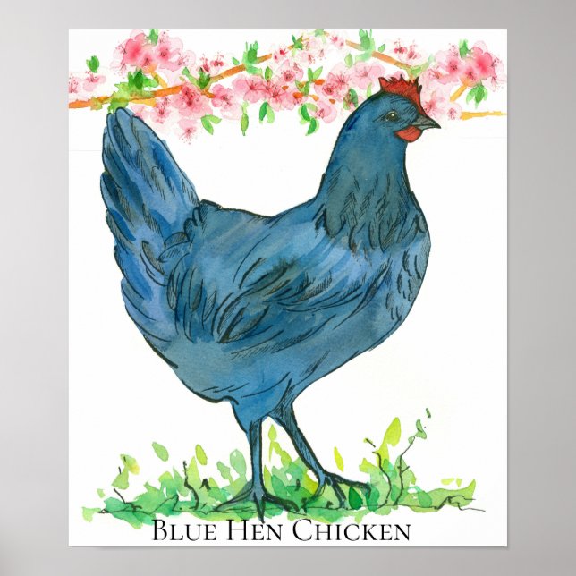 Blue Hen Chicken State Bird of Delaware Poster (Front)