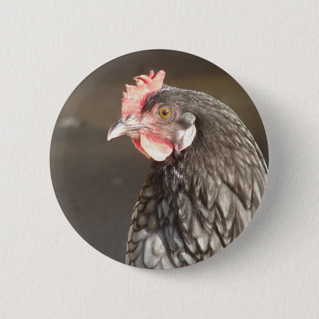 Blue Hen Pinback Button (Front)