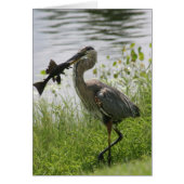 BLUE HERON (Front)