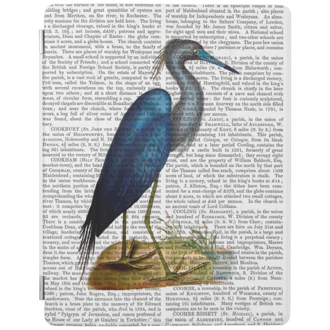 Blue Heron 3 2 iPad Air Cover (Front)