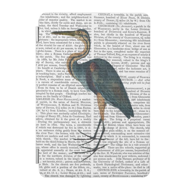 Blue Heron 3 iPad Mini Cover (Front)