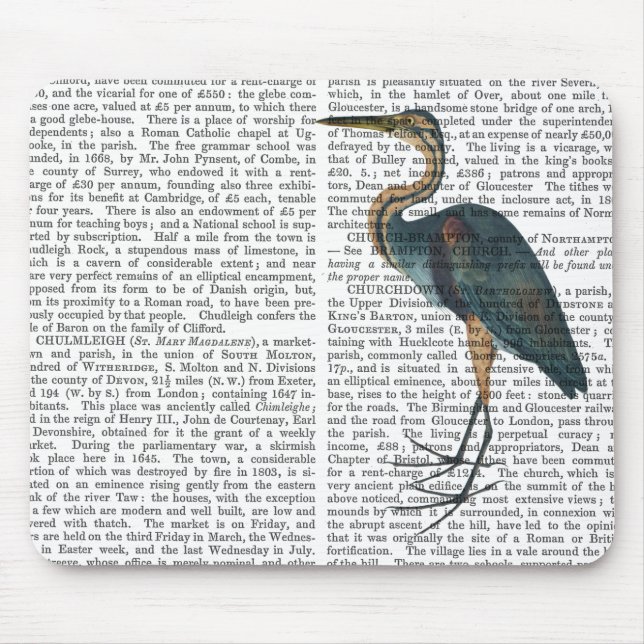 Blue Heron 3 Mouse Pad (Front)