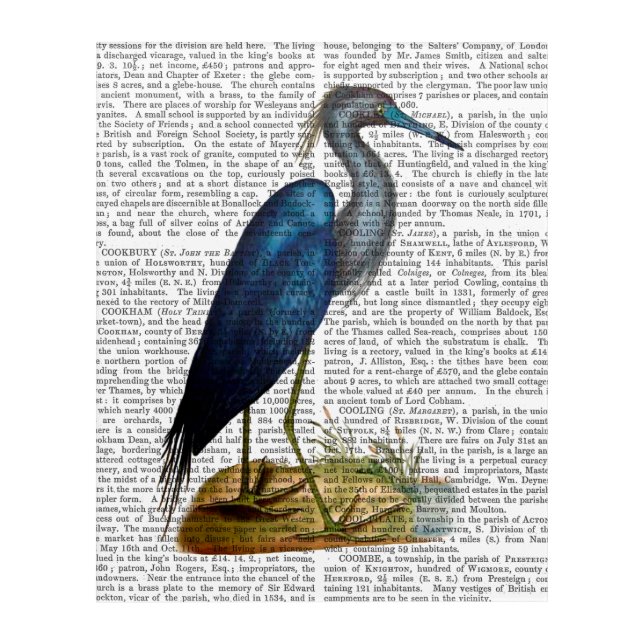 Blue Heron Acrylic Print (Front)