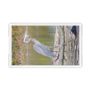 Blue Heron acrylic tray