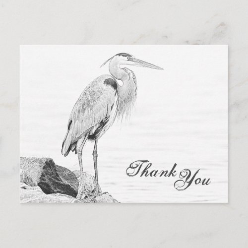 Blue Heron and Rocks Water Bird Sketch Thank You Postcard
