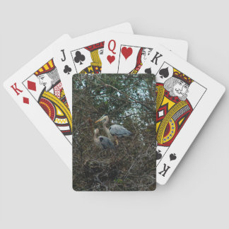 Blue Heron Birds in a Nest Photo Poker Cards
