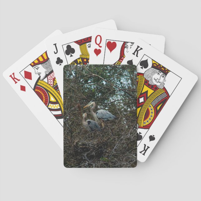 Blue Heron Birds in a Nest Photo Poker Cards (Back)