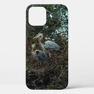 Blue Heron Birds Pretty iPhone 12 Pro Case