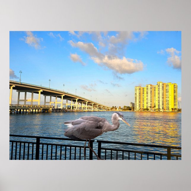 Blue Heron Bridge. Riviera Beach. Florida Poster (Front)