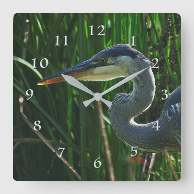 Blue Heron Early Bird Hunter Square Wall Clock (Front)