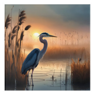 Blue Heron Marsh Acrylic Print