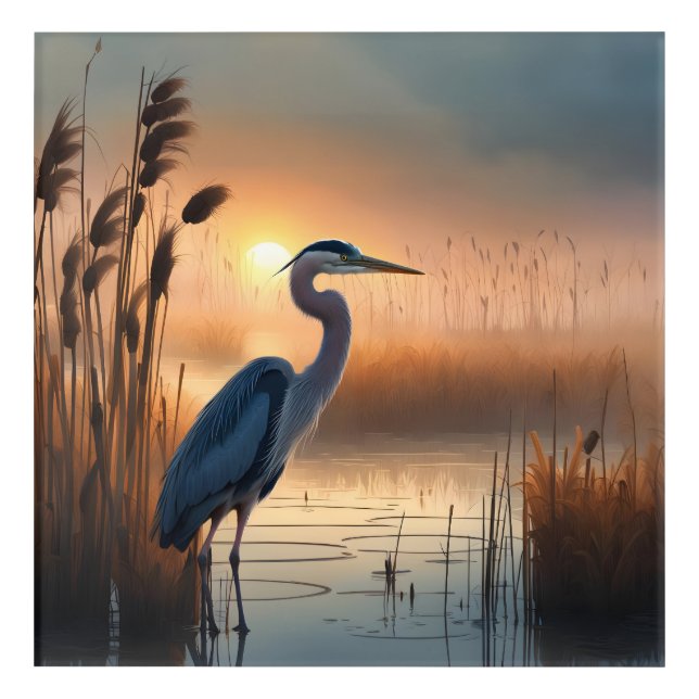 Blue Heron Marsh Acrylic Print (Front)
