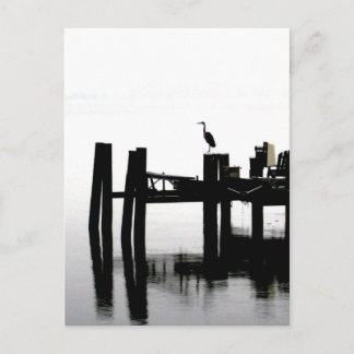 Blue Heron on a Gray Day Postcard