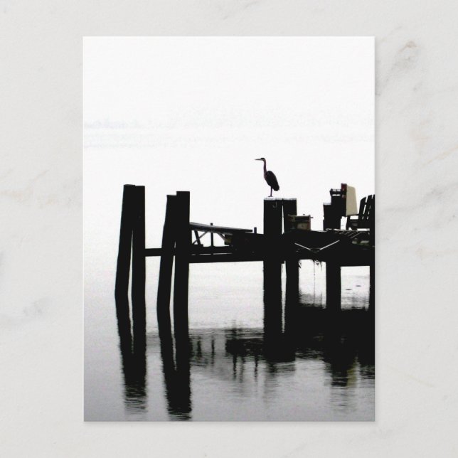 Blue Heron on a Gray Day Postcard (Front)