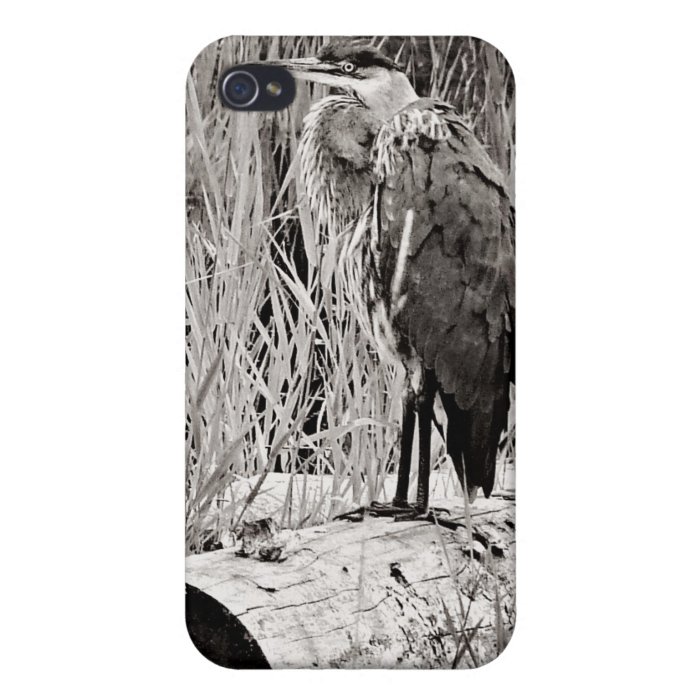Blue Heron Photograph   Black and White iPhone 4 Cover