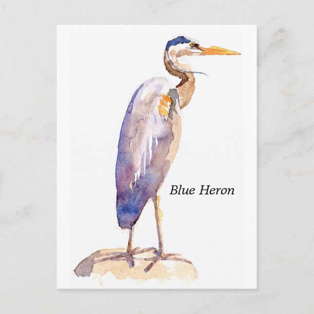 Blue Heron postcard (Front)