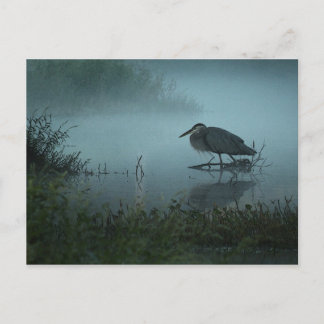 Blue Heron Postcard