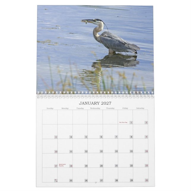 Blue Heron Series Calendar (Jan 2027)