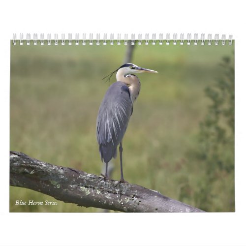 Blue Heron Series Calendar