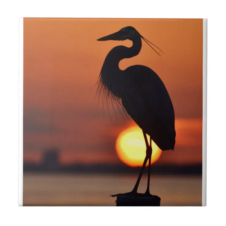 heron silhouette