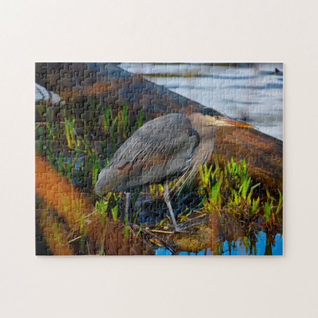 Blue Heron Stanley Park Vancouver. Jigsaw Puzzle (Horizontal)