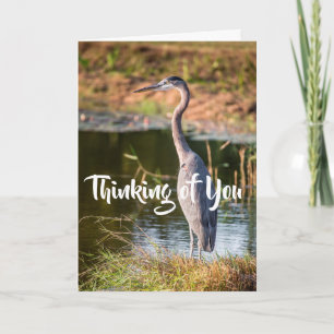 Blue Heron Thinking of You Card