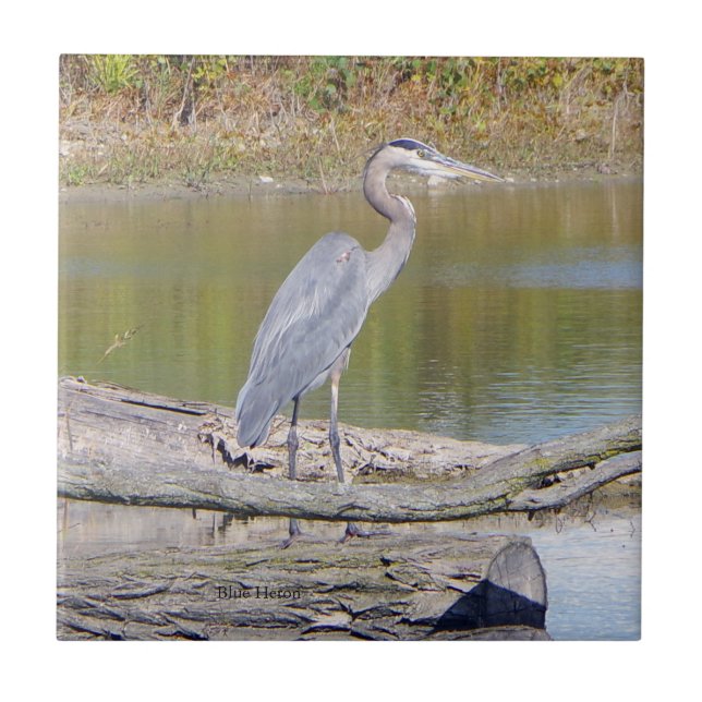 Blue Heron tile (Front)