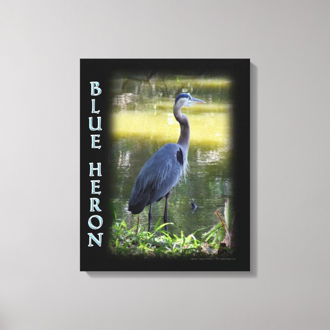 Blue Heron Wall Art Photograph (Front)