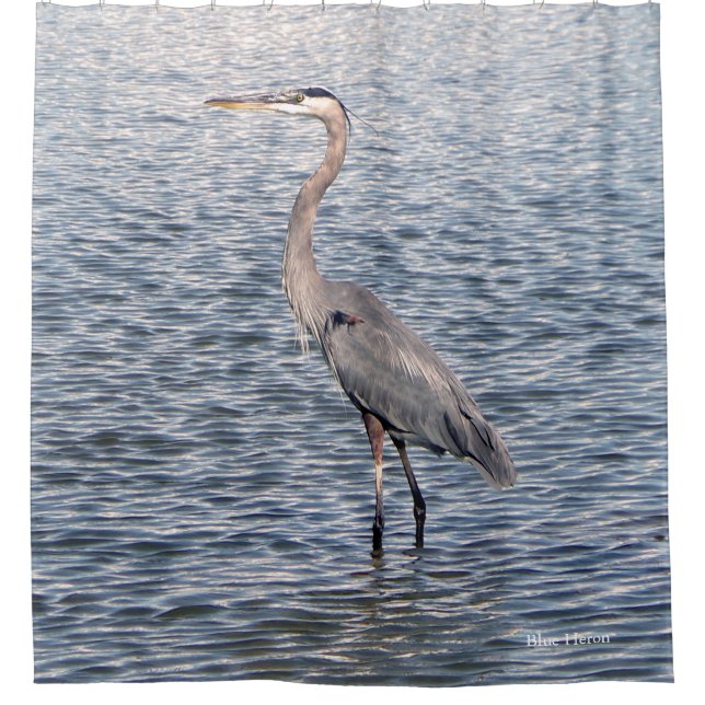 Blue Heron water shower curtain (Front)