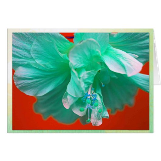 Blue hibiscus cards (Front Horizontal)