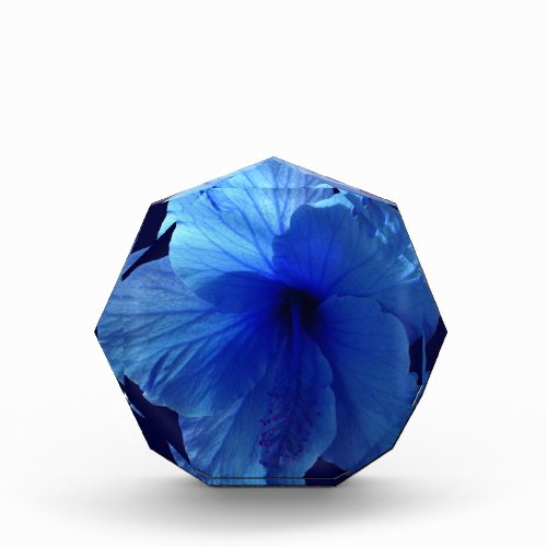 Blue Hibiscus Flower Award