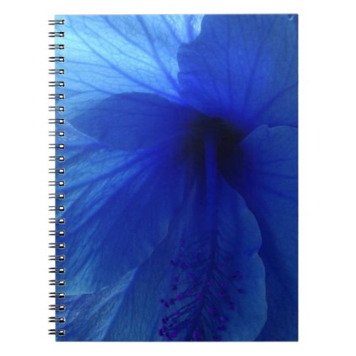 Blue Hibiscus Flower Notebook
