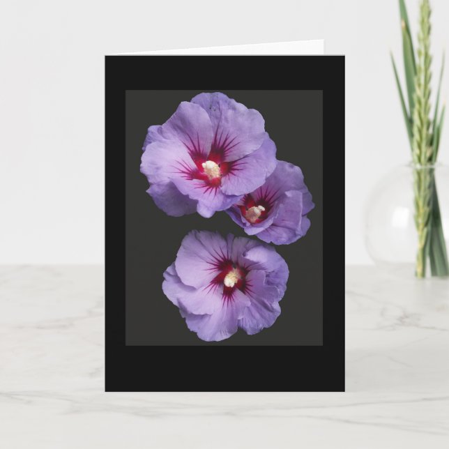 Blue Hibiscus Greetings Card (Front)