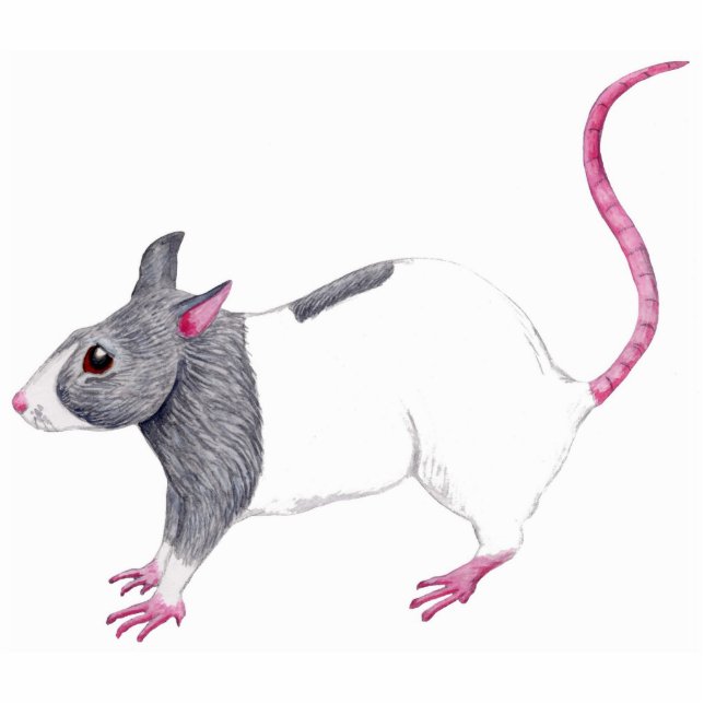 blue hooded rat sculpture (Front)