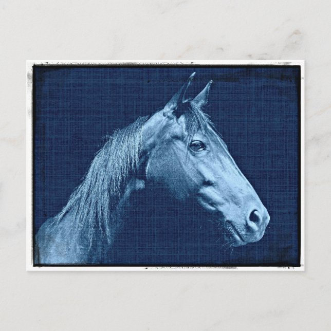 Blue Horse Postcard (Front)