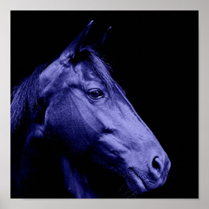 Blue Horse Silhouette Poster Print