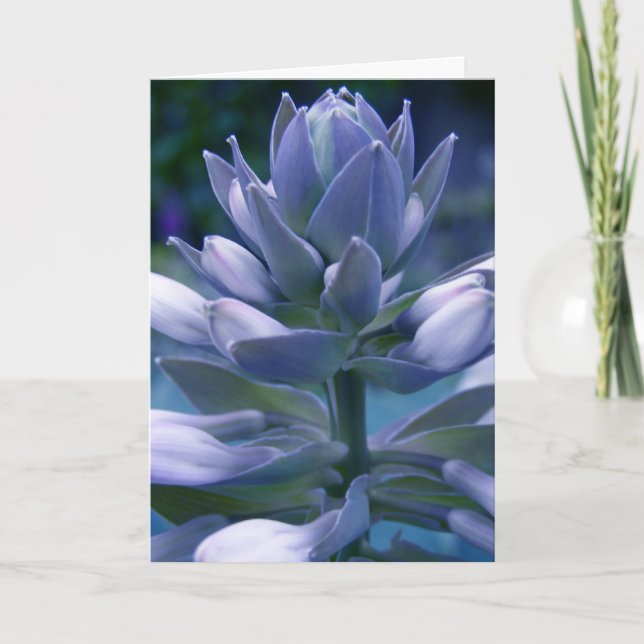 Blue Hosta "photographic" card (Front)