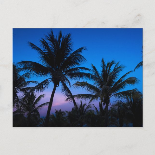 Blue Hour Bliss: Silhouette Palm Trees Postcard (Front)