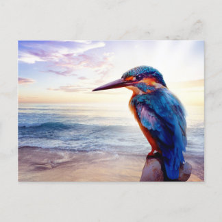 Blue Hummingbird Exotic Sunset Beach Postcard