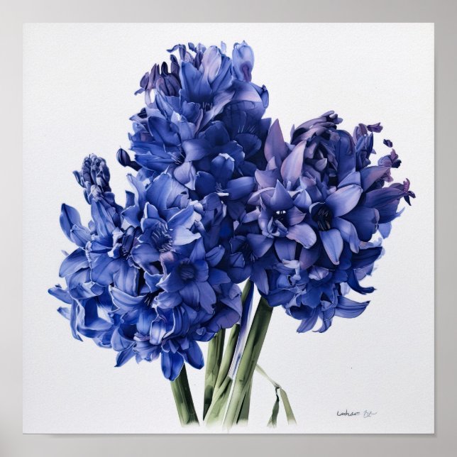 Blue Hyacinth Flower Art Print Poster (Front)