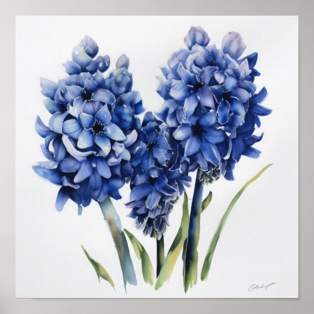 Blue Hyacinth Flower Art Print Poster (Front)