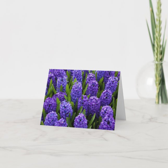 Blue Hyacinth Holiday Card (Front)