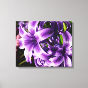 Blue Hyacinth I Spring Floral Canvas Print