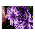 Blue Hyacinth I Spring Floral Card