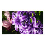 Blue Hyacinth I Spring Floral Photo Print
