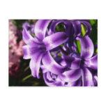 Blue Hyacinth I Spring Floral Postcard