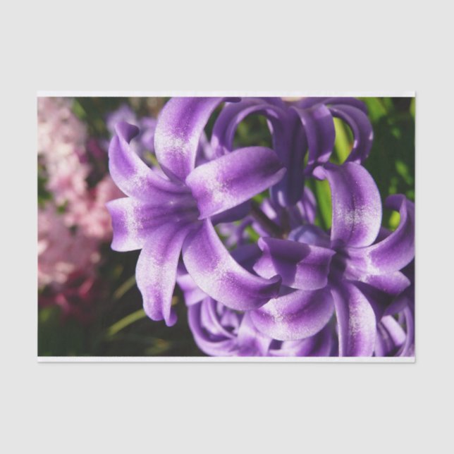 Blue Hyacinth I Spring Floral Tissue Paper (Front)